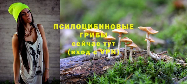 марки lsd Алексеевка