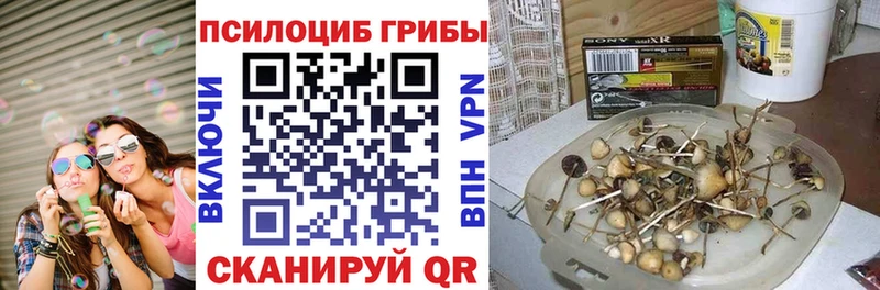 Псилоцибиновые грибы мухоморы Скопин